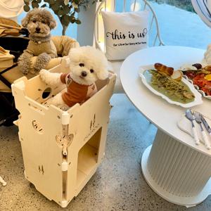 강아지식탁의자 반려견동반 펫체어 미니