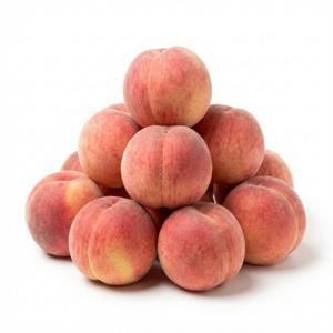 국내산 하우스 복숭아 신선과일 당도선별 500g 1kg 2kg 내외