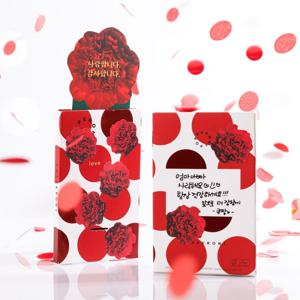 [오늘의집 단독] 카네이션 레드 폭죽카드 가정의달 선물 용돈이벤트