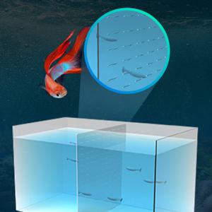 어항 칸막이 아크릴분리대 구피 물고기 치어 분리대 격리 수조 어향용품