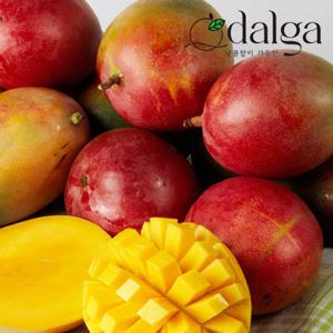 브라질 애플망고 4kg 내외 (8~10입)