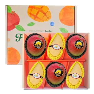 골드망고 3입 + 애플망고 3입 혼합 선물세트 2.2kg 내외