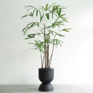 관음죽 MB-2 무광 블랙 화분 인테리어식물 대형화분 잘자라는식물