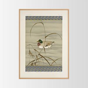 젠 에디션 인테리어 포스터 액자 / 34 청둥오리와 갈대