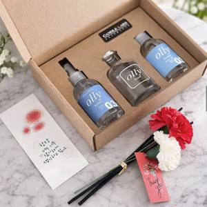 [스승의날 어버이날] 카네이션 디퓨저+섬유스프레이 기프트세트 / 선생님, 부모님 선물세트