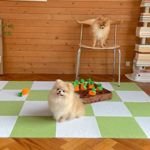 DIY 컬러 데코 타일 매트 미끄럼방지 카페트 셀프시공 3컬러(30x30) 1P