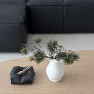 해송 소나무 가지 조화 분재 그린 소재