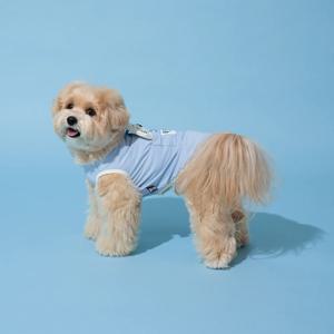 펫본 3도씨 퍼피 쿨링팩 티셔츠 스카이블루 M