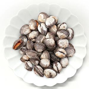산지직송 국내산 새꼬막 1kg