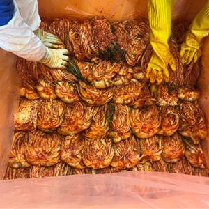 황금배추로 만들어 1년이상 숙성시킨 100%국내산 전라도식 황금묵은지 3kg x 1개