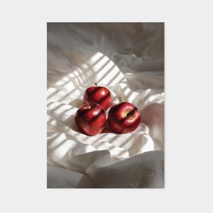 Red Apples#1 빨간 사과#1 / 과일 사진 풍수 인테리어 포스터