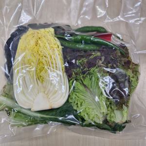 모듬쌈세트 500g 로메인 꽃상추 알배기 적근대 청양고추