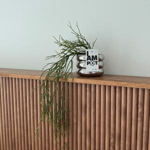 립살리스 넝쿨 가지 조화 화분 쇠테리어 방꾸미기