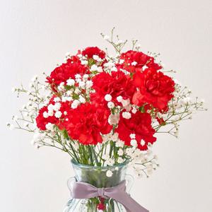 레드 카네이션 10송이 안개꽃 생화 어버이날 꽃다발 특상품 등급
