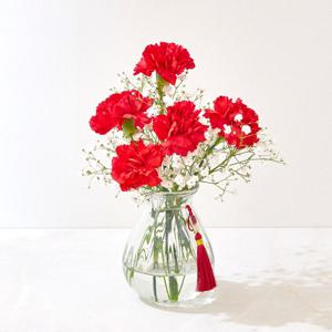 레드 카네이션 5송이 안개꽃 화병 set 생화 어버이날 꽃다발 특상품 등급