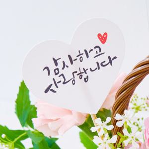 생화 꽃다발 팻말 포인트 픽 글씨랜덤