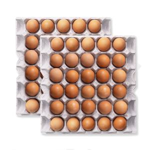 [농장직송] 탱글촉촉 맥반석 구운란 60구 / 30구 골라담기