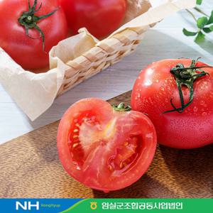 [임실농협] 신선 탱글아삭 완숙 토마토 5kg(150g이하)/ 실중량