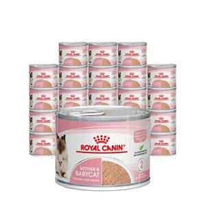 고양이캔 마더앤 베이비캣 195g 24캔