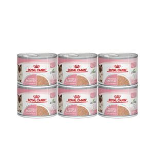 고양이캔 마더앤 베이비캣 195g 6캔