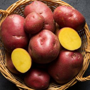 포슬포슬 고품위 26년 햇 홍감자 대,특,왕특 1.5kg/3kg/5kg 사이즈별 골라담기