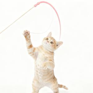 TEMU 리얼리스틱 움직이는 꼬리 고양이 장난감 - 마우스 꼬리 티저 완드, 새끼 고양이 & 고양이용, 야외 사냥 게임, 고양이 먹이 잡기 놀이 (모든 품종 & 사이즈)