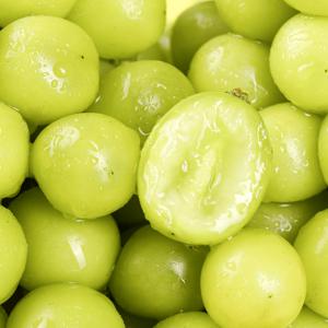 TEMU 아삭아삭 씨없는 애플청포도 오톰크리스피