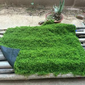 TEMU 뒷면 접착 처리된 딥 그린 이끼, 다양한 크기, 장식용 이끼, 습식 및 건식, 찢어지고 절단 가능, 다양한 모양에 적용 가능, 다양한 장면에 적합