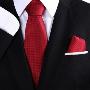 TEMU 단색 비즈니스 넥타이와 포켓 스퀘어 2피스 세트