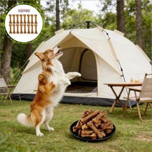 TEMU 16개 세트 - 강아지 씹는 장난감 대용량 팩, 치아 청소 뼈, 건강한 씹는 장난감, 실내외 사용에 적합, 소형견 및 중형견용 치아 청소 스틱 - 안전하고 무독성 고무 장난감 - 강아지 씹는 뼈 - 강아지들이 좋아하는 씹는 장난감 - 애완용품 D