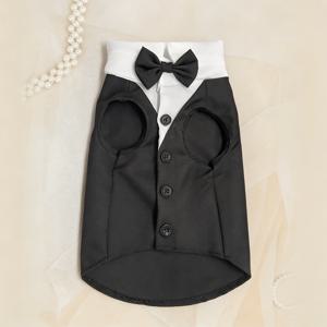 TEMU 소형견 강아지 옷 반려동물 셔츠 나비 넥타이 포함 웨딩 정장 슈트 코스튬