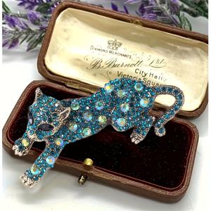 TEMU 새로운 창의적인 개성 남녀공용 동물 브로치 템퍼먼트 다용도 라인스톤 브로치 코트 수트 니치 브로치 핀 장식