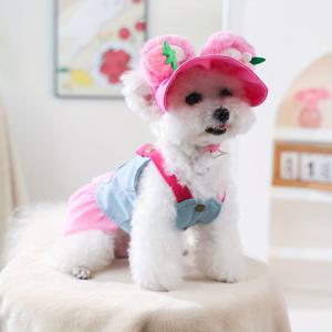 TEMU 귀여운 캐미솔 원피스 + 모자 세트 2개, 강아지 고양이용 펫 의류, 스타일리시한 미국 스타일 가을 나들이 옷, 목줄 부착식 핑크색 원피스 세트