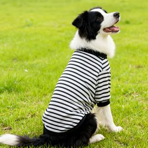 TEMU 검정-흰색 라운드넥 캐주얼 스웨트셔츠, 대형 강아지 디자인