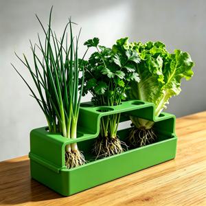 TEMU 녹색 양파 전용 재배 장치, 수경 재배 시스템으로 반복 재배 가능. 집에서 쉽게 사용 가능, 흙 없이 간편한 수확 주기로 재배에 완벽