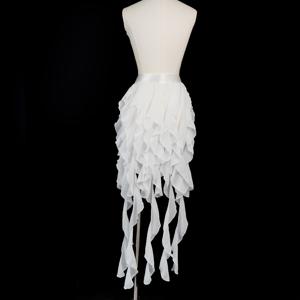 TEMU 테일 커튼이 있는 발레 댄스 여성용 코스튬, 스타일링에 적합