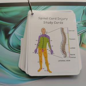 TEMU 척수 손상 (SCI) 학습 카드 - ASIA 척도 분류 플래시카드 (의대생, PTA, 간호사용) | SCI 재활 가이드 & 신경학 시험 준비 | ASIA A-D 등급 시스템 훈련 자료