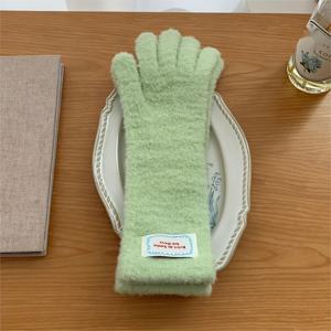 TEMU 한국 스타일 사탕색 소프트 도라지색 단색 플러시 여성용 장갑, 새로운 마카롱 컬러 방한 및 보온 야외 분할 지퍼 장갑, 사이클링 터치 스크린 핑거리스 장갑