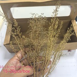 TEMU 10-20cm 스케일 미니어처 나무 줄기 및 가지 모델 - 핸드메이드 사실적 DIY 기차 디오라마, 모형 철도 장면, 테이블탑 RPG 게임, 인형의 집용 - 취미가를 위한 디테일한 조경 식생
