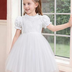TEMU 귀엽고 세련된 여아용 귀여운 공주 드레스, 봄, 여름에 완벽, 레이스 퍼프 소매와 튤 스커트가 특징입니다. 공연, 연설, 또는 일상적인 외출에 이상적이며 선물로도 좋습니다.