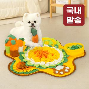 TEMU 레토 강아지 장난감 플라워 소리나는 당근밭 담요매트 LDG-NW02