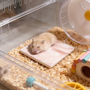 TEMU 햄스터 전용 쿨링 패드, 씹어도 안 끊어지고 넘어져도 안 깨지는 쿨링 매트, 세척이 간편한 여름용 햄스터 쿨링 패드, 소형 동물 케이지 장식 액세서리