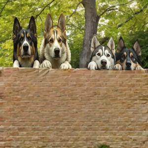 TEMU 2D 플랫 - 2D 평면, 2개, 울타리 위에서 머리를 내민 귀여운 나무 강아지 4마리. 집주인 집에 오기를 기다리는 장면. 대형 사이즈. 재미있는 디자인, 나무. 정원 안뜰 장식, 야외 울타리 - 벽 장식 - 재미있는 야외 벽 장식