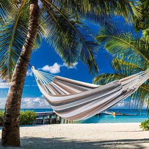 TEMU 커피 색상 패브릭 해먹, 1인용 스타일, 미끄럼 방지 디자인 - 330 Lbs 지지, 스트랩 포함, 휴대용 보관 가방 - 야외, 실내 및 캠핑용, 파티에 적합, 선물용으로 좋음, 디자인