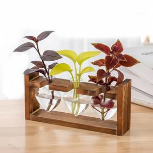 TEMU 목재 스탠드 및 하트 모양 병이 포함된 자동 급수 유리 수경 재배 화분 - 야외 수경 재배 시스템, 養魚장, 주방, 발코니, 장식용으로 적합 - 유리병 재배
