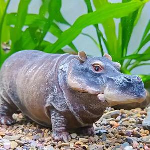 TEMU 수조용 시뮬레이션 하마 - 공기 펌프 액세서리, 리얼한 거품 내는 어항 장식, 생동감 넘치는 수중 오너먼트, 테마 어항 소품, 재미있는 물장식, 고품질 디테일 공예, 홈 아쿠아리스트를 위한 장식품