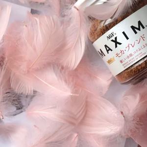 TEMU 300개 컬러풀 마카롱 핑크 그라데이션 깃털 - 부드럽고 폭신한 웨딩 데코, 무대 배경, 파티 용품, 핸드메이드 DIY 공예용 깃털, 선물박스 미포함