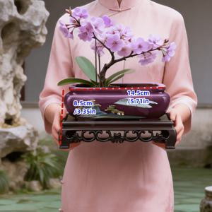 TEMU 데스크탑용 고급 통기성 화분, 트레이 포함 세라믹 화분, 실내외 사용에 적합한 빈티지 원형 정원 화분, 홈 데코 가드닝 용품 세트 - 홈 D를 위한 배수 구멍이 있는 타원형 분재 및 다육이 화분