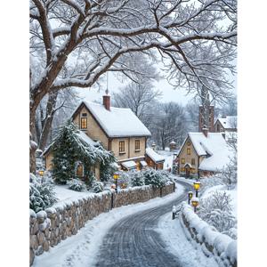 TEMU ZUOANLF DIY 십자수 키트 1세트 30x40cm/11.8x15.7인치 프레임 없음, 아름다운 겨울, 스탬핑 십자수 키트, 가정 장식용 자수 세트, 패턴 천 및 실 포함, 거실 입구 또는 침실 장식 및 아름다운 예술 작품으로 완벽