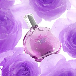 TEMU 사랑을 위한 특별한 향기 선물